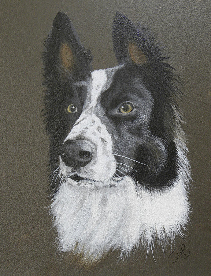 Dog Painting - Border Collie - Willie by Janice M Booth