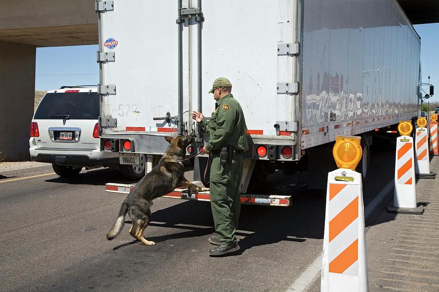 Animal Photograph - Border Patrol Checkpoint by Jim West