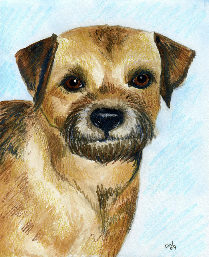 Dog Painting - Border Terrier by Christine Winship