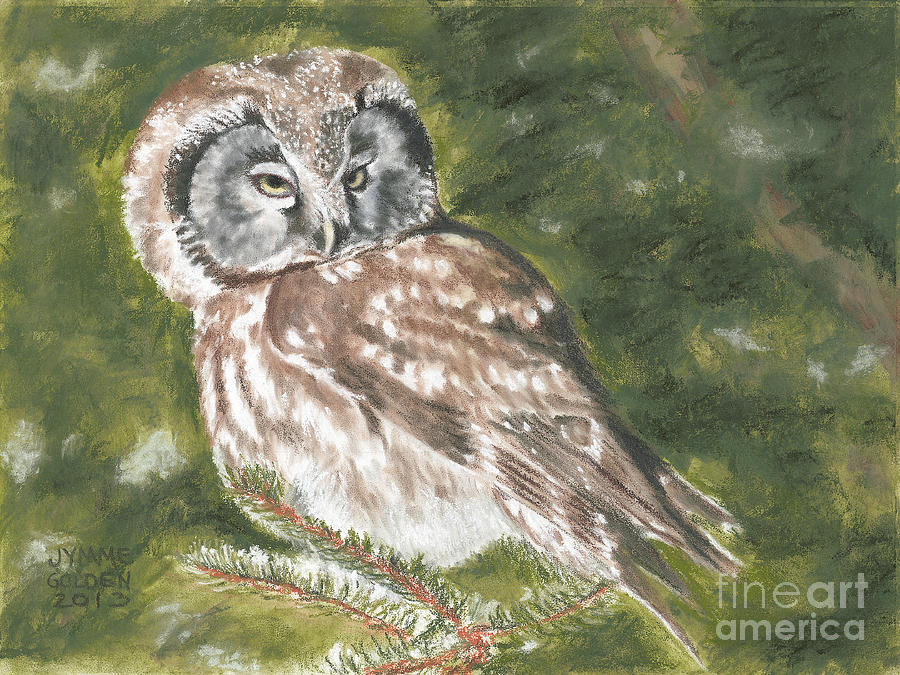 Boreal Owl Painting by Jymme Golden