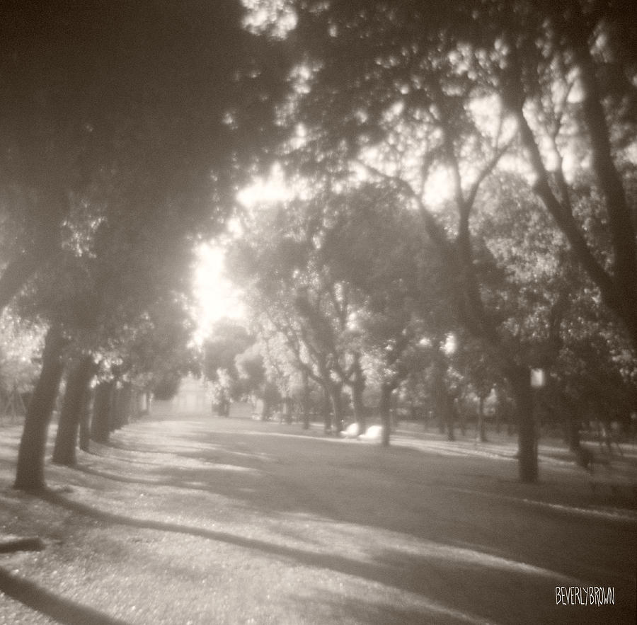 Borghese Gardens Path Photograph by Beverly Brown