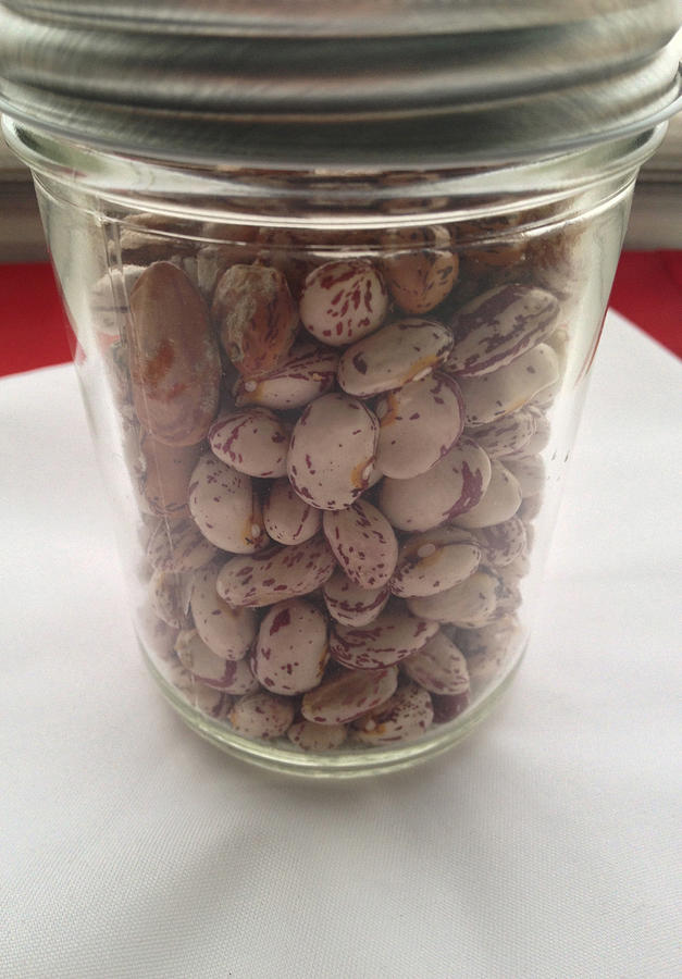 Borlotti Beans in a Jar Photograph by Photographic Arts And Design Studio