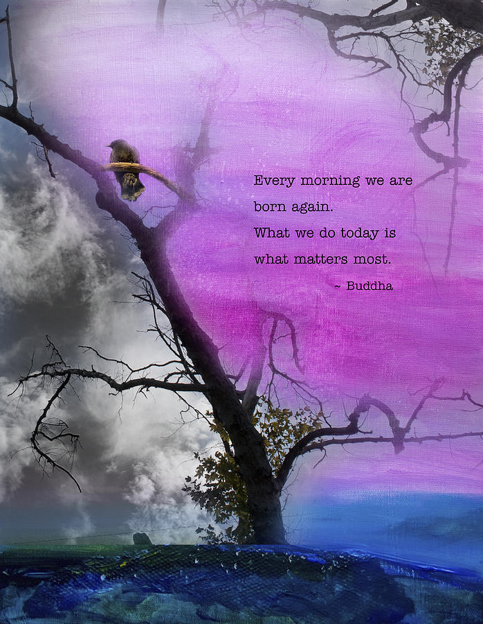 Born Again - Tree art with Buddha Quote Mixed Media by Stella Levi
