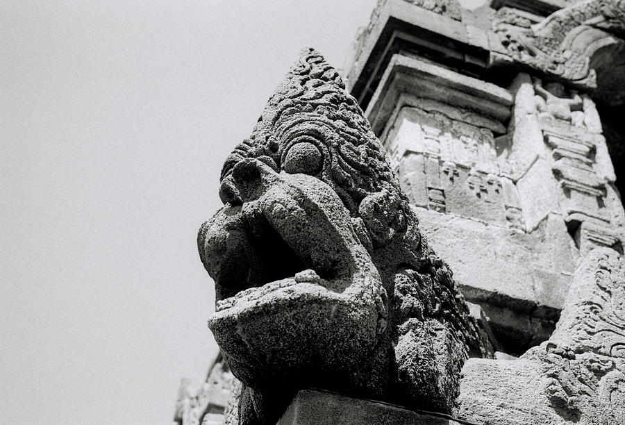 Borobudur Beast Photograph by Shaun Higson