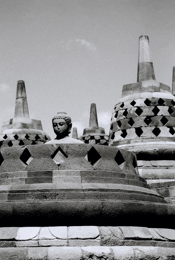 Iconic Borobudur Buddha Photograph by Shaun Higson