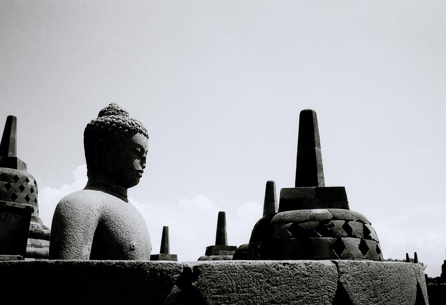 The Contemplation Of The Buddha Photograph by Shaun Higson