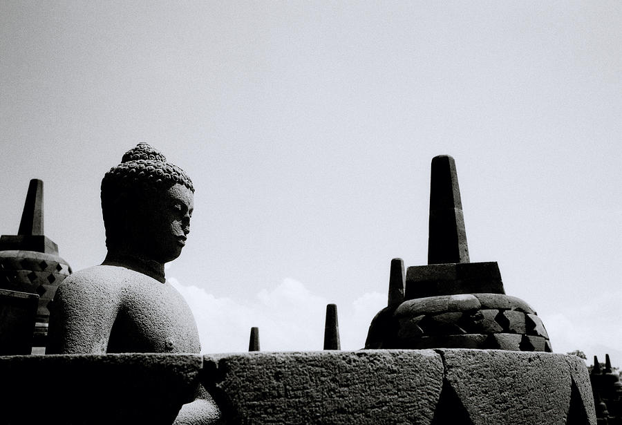The Meditation Of The Buddha Photograph by Shaun Higson
