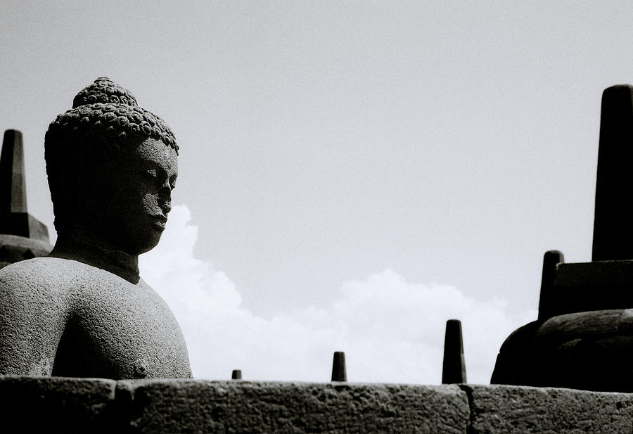 The Meditating Buddha Photograph by Shaun Higson