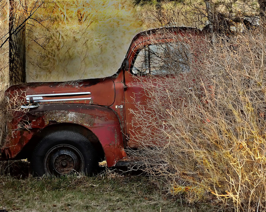 Borrowed Time Photograph by Jill Sable - Fine Art America