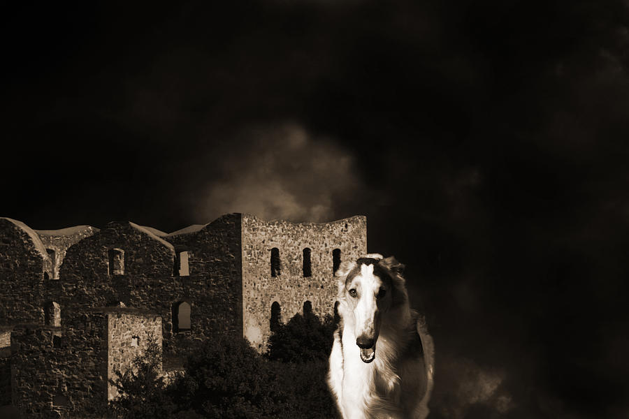 Dog Photograph - Borzoi Wolf Hound Hunting At Night by Christian Lagereek