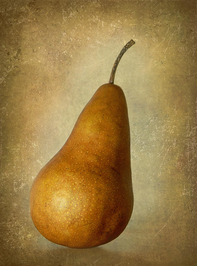 Pear Photograph - Bosc Pear by Angie Vogel