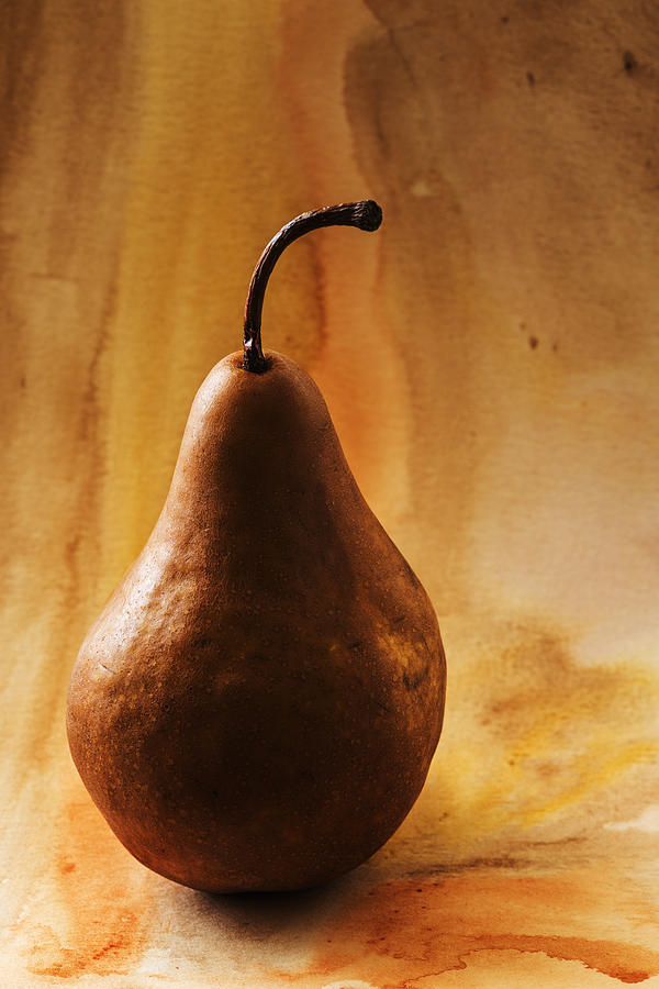 Still Life Photograph - Bosc Pear with watercolor background by Vishwanath Bhat