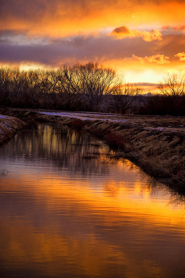 Bosque Sunset Photograph by Diana Powell