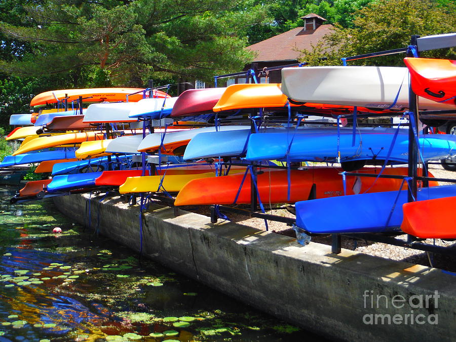 Boston Boats Of Many Colors Photograph by Paddy Shaffer