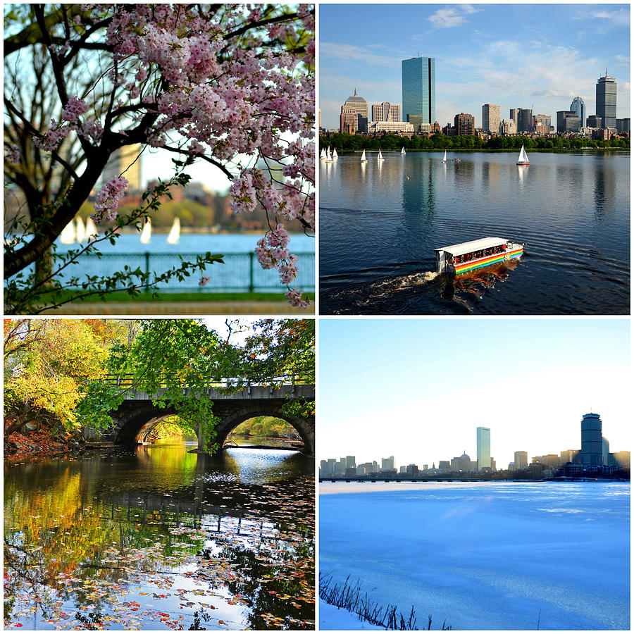 Boston Charles River Four Seasons Collage Photograph by Toby McGuire