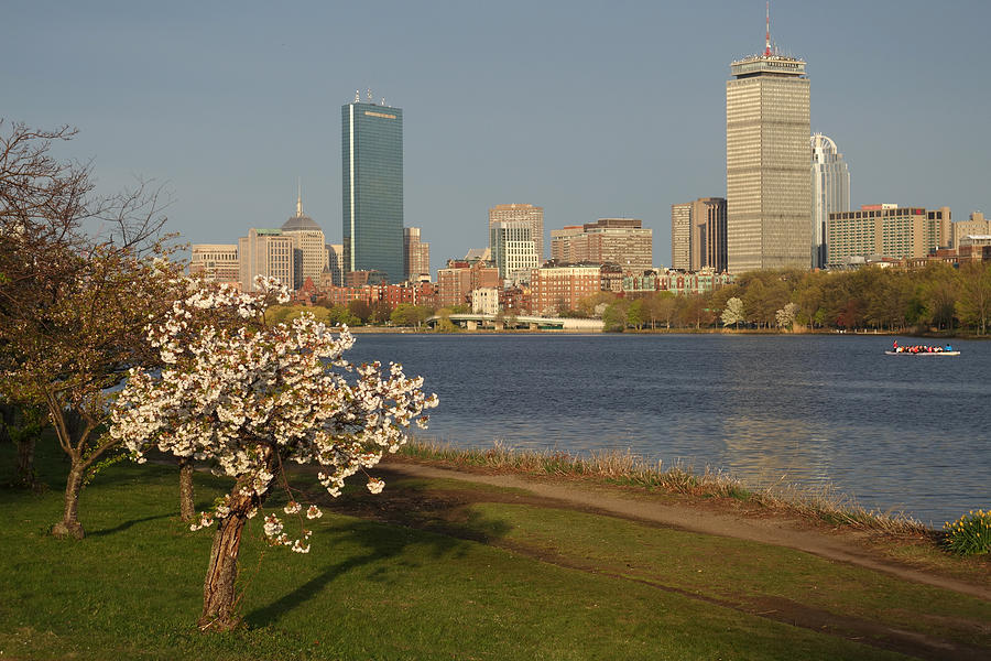 Boston Charles River on a Spring day Photograph by Toby McGuire