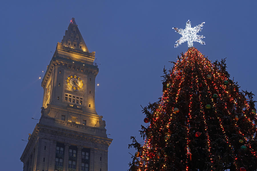 Boston Christmas Tree Lighting Photograph by Juergen Roth