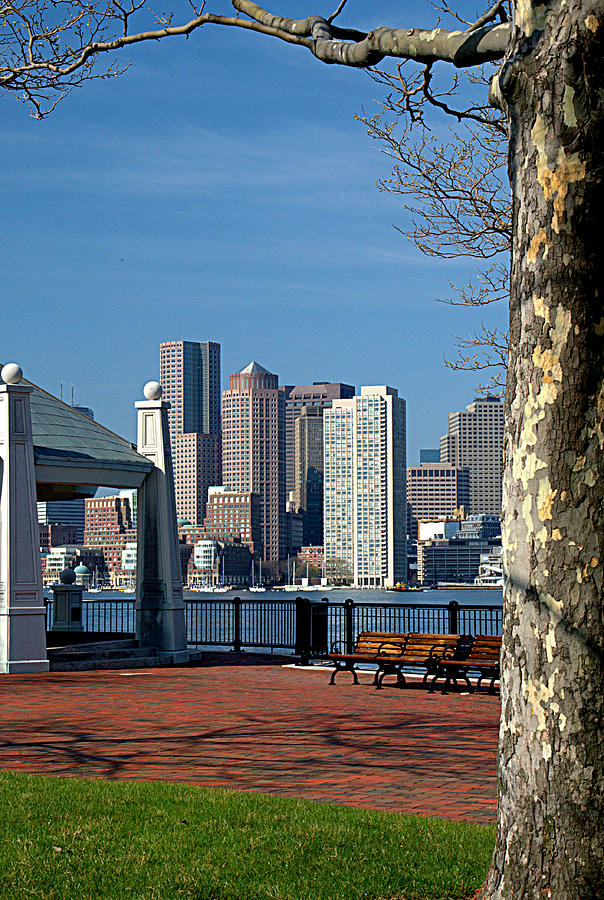 Boston Framed Photograph by Caroline Stella