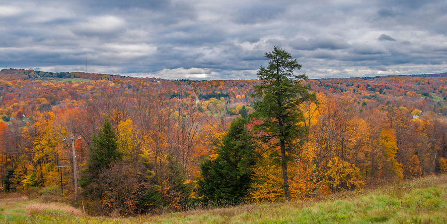 Boston Hills in Autumn Photograph by Guy Whiteley