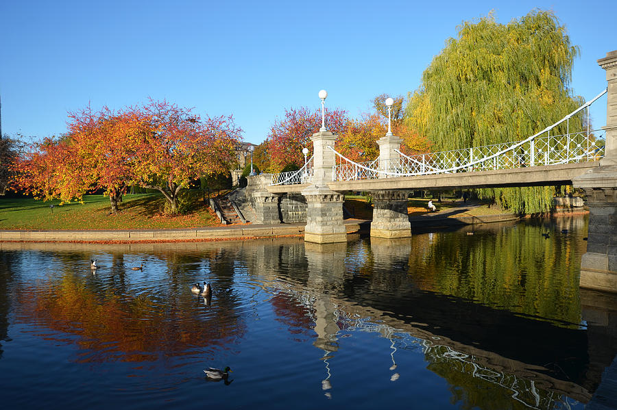 Boston Public Garden Autumn Photograph by Toby McGuire