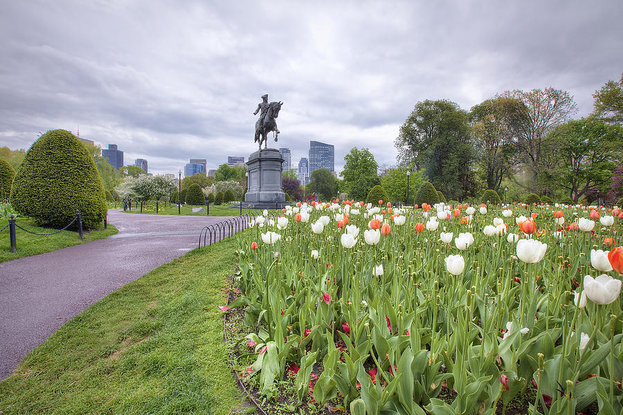 Boston Public Garden Photograph by Eric Gendron