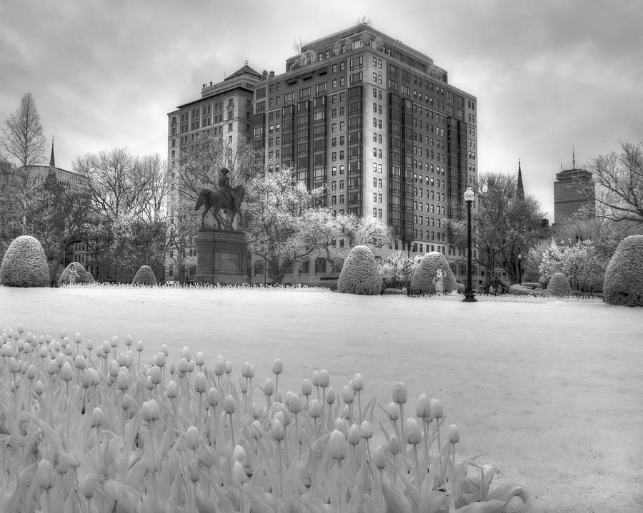 Boston Photograph - Boston Public Garden in Black and White by Joann Vitali