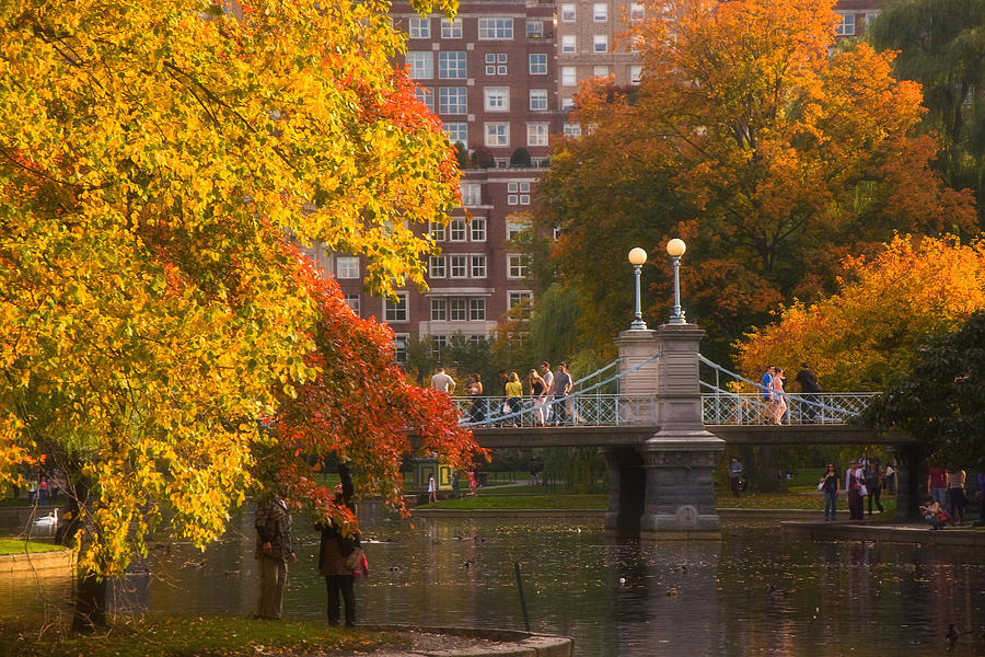 Boston Public Garden Lagoon Bridge Photograph by Joann Vitali