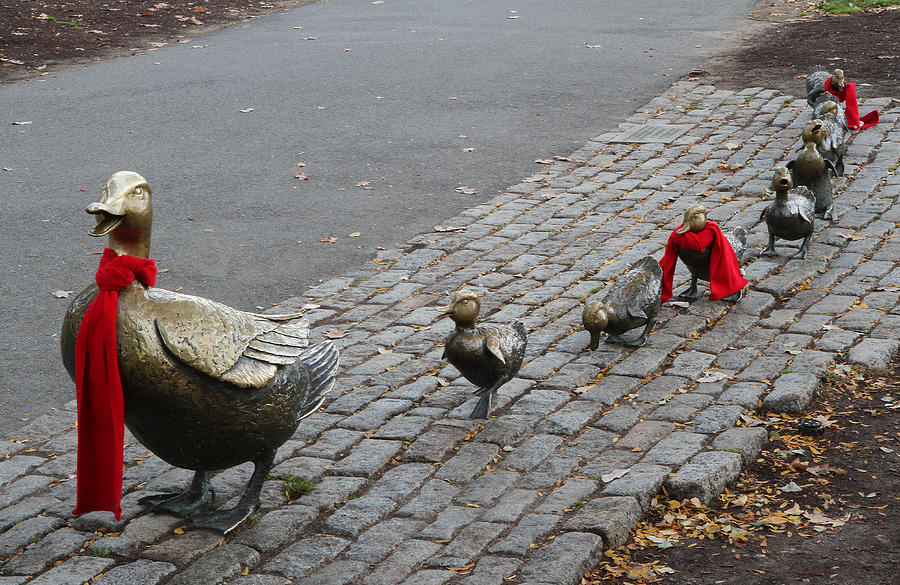 Duck Photograph - Boston Public Garden - Make Way for Ducklings by Juergen Roth