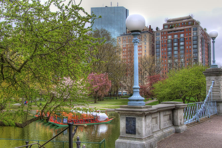 Boston Photograph - Boston Public Garden Swan Boats by Joann Vitali