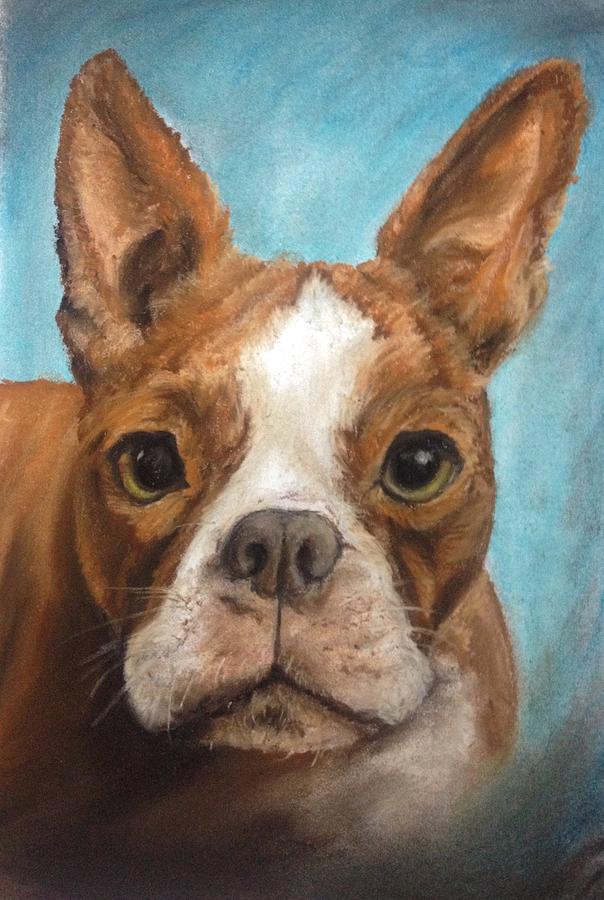 Dog Pastel - Boston by Rebecca Davis