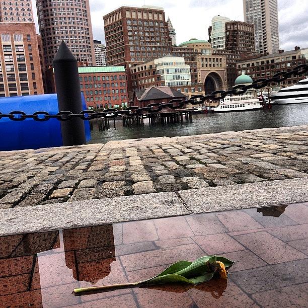 Boston Photograph - #boston #strong #iheartboston by Harsh Vahalia