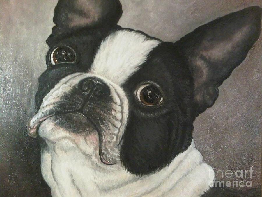 Boston Painting - Boston Terrier by Ana Marusich-Zanor