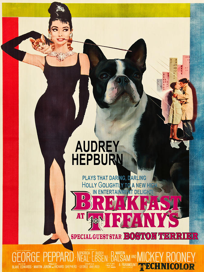 Boston Terrier Art - Breakfast at Tiffany Movie Poster Painting by Sandra Sij