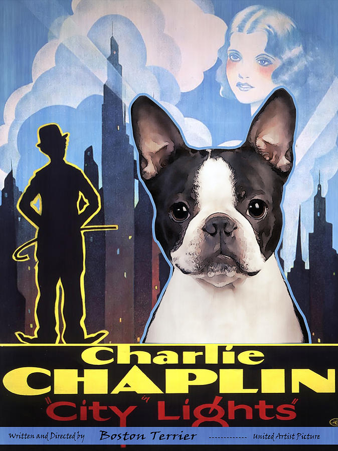 Dog Painting - Boston Terrier Art - City Light Movie Poster by Sandra Sij