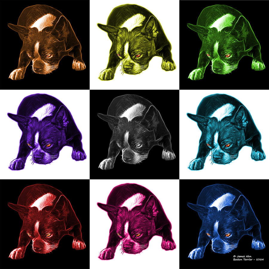 Boston Terrier Art - 8384 - V1 - M Mixed Media by James Ahn