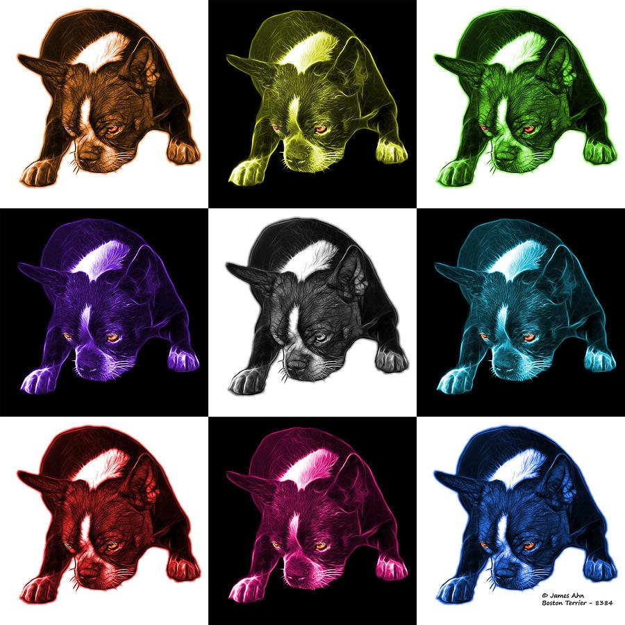 Boston Terrier Art - 8384 - V2 - M Mixed Media by James Ahn