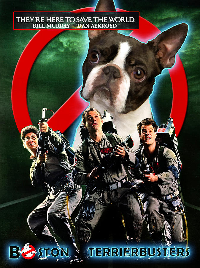 Ghostbusters Painting - Boston Terrier Art Canvas Print - GhostBusters Movie Poster by Sandra Sij