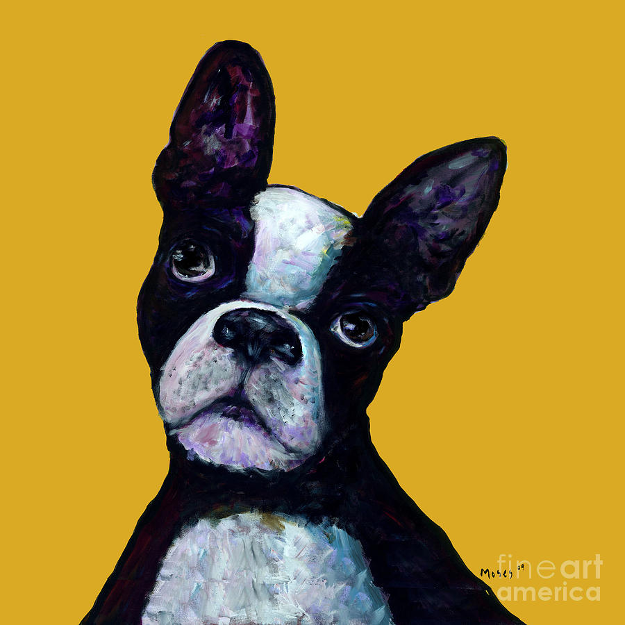 Boston Terrier On Yellow Painting by Dale Moses