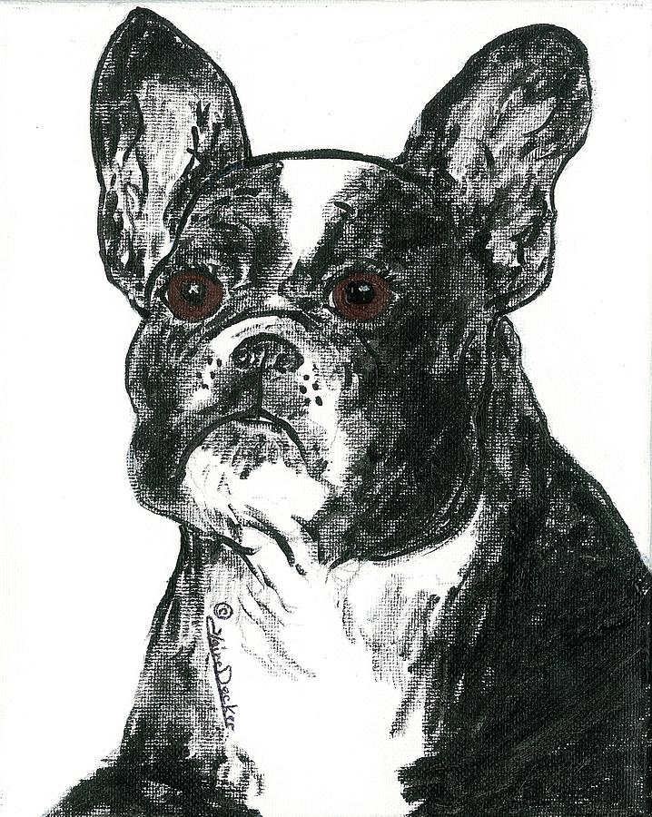 Boston Terrier Portrait Painting by Claire Decker