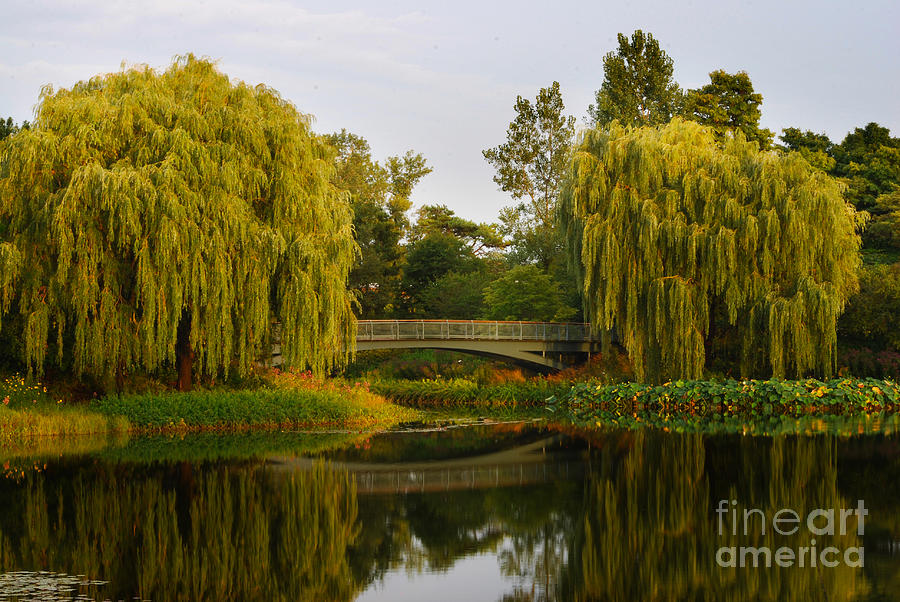 Botanic Garden Bridge at Dusk Photograph by Nancy Mueller