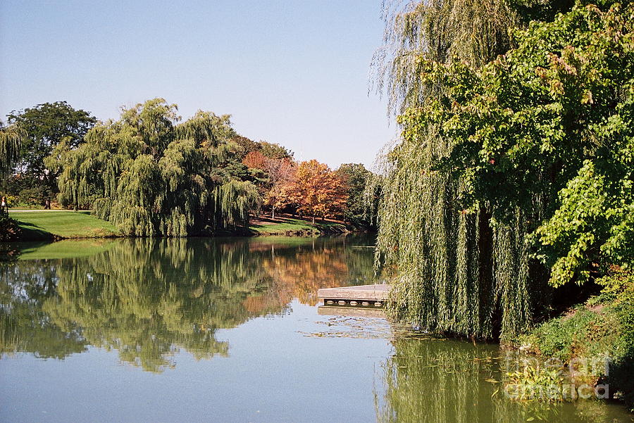 Botanic Garden Lake Photograph by Cate Schafer - Fine Art America