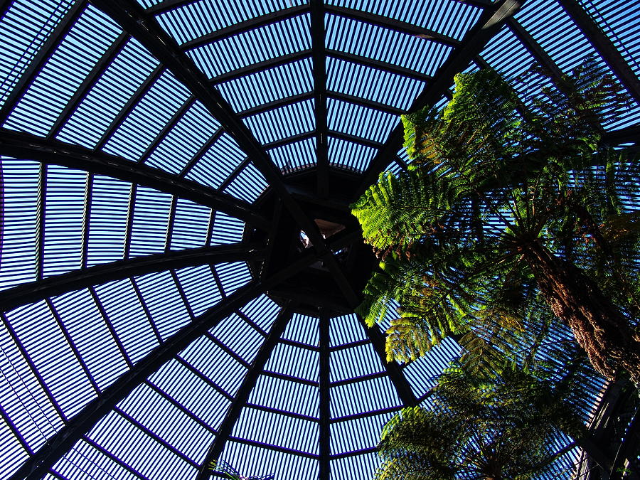 Botanical Building Atrium - Balboa Park Photograph by Glenn McCarthy Art and Photography