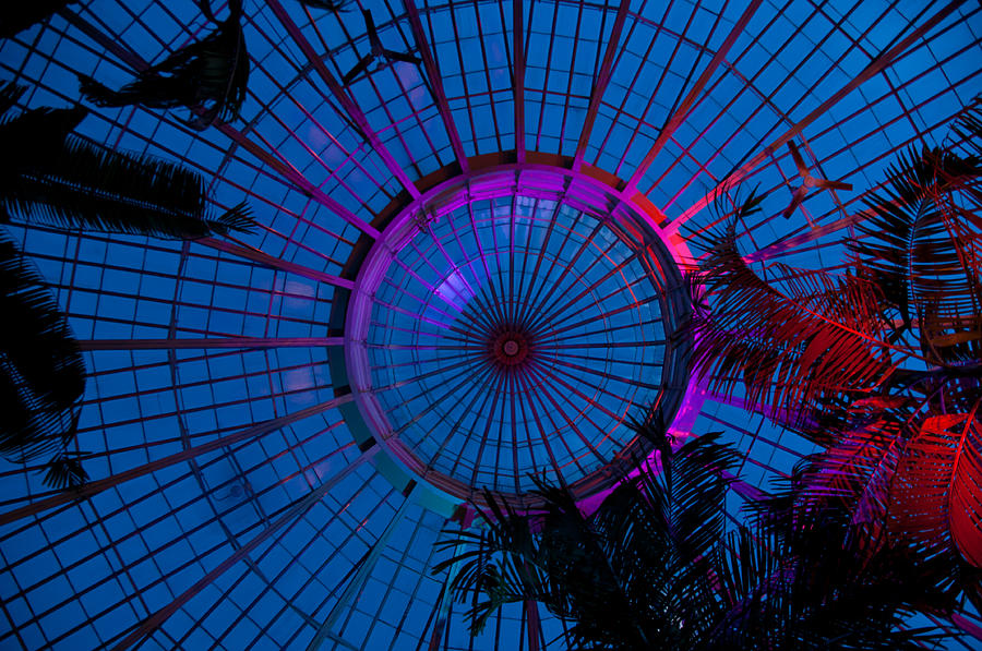 Botanical Dome Photograph by Guy Whiteley
