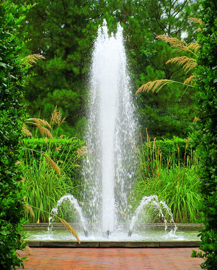 Botanical Fountain Photograph by Randall Weidner