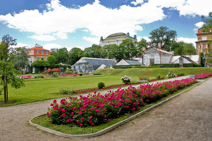 Botanical garden in Town of Zagreb Photograph by Brch Photography