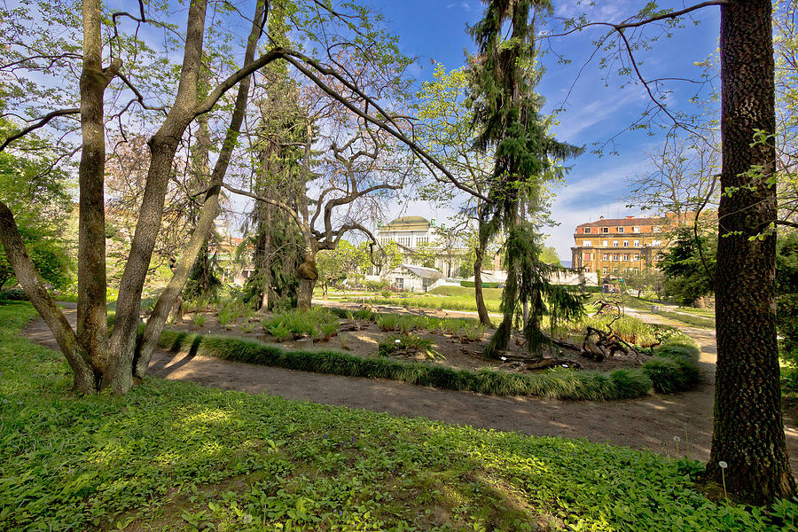 Botanical Garden Of Zagreb Flora View Photograph