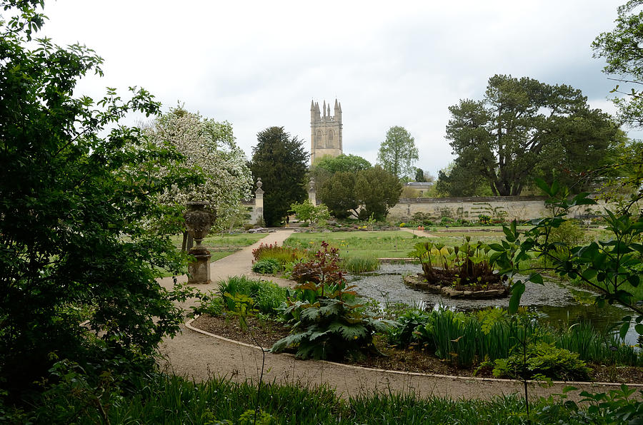 Botanical Garden Oxford England Photograph by Tom Wurl