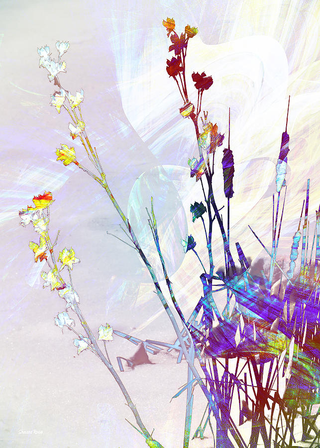 Botanical Rainbow Digital Art by Shawna Rowe