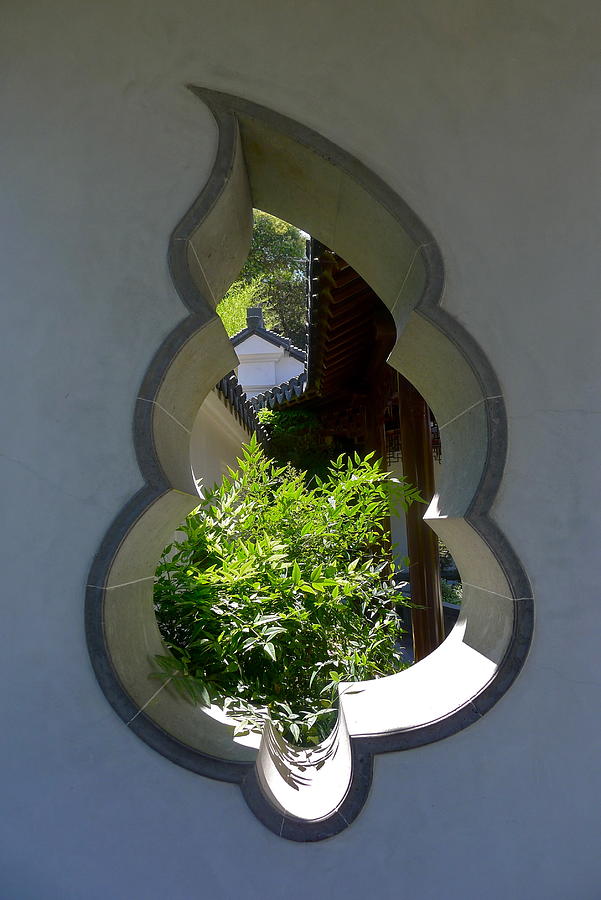 Botanical Window Photograph by Denise Mazzocco