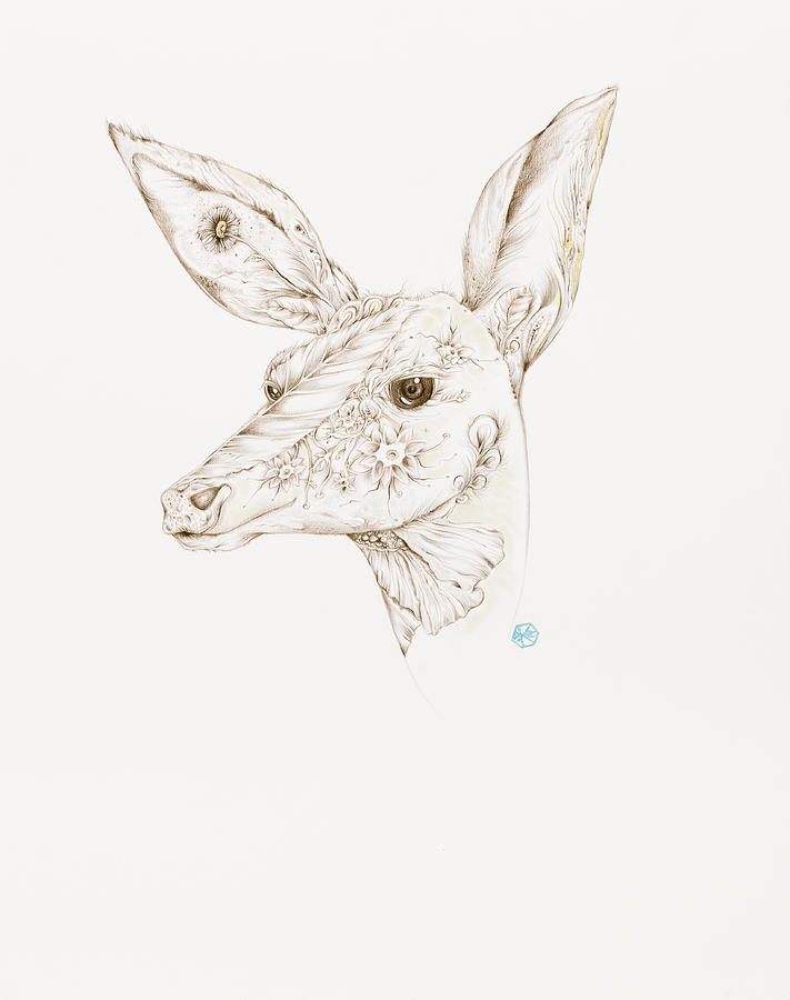 Botanicalia Deer Drawing by Karen Robey